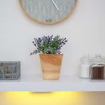Apartment Terra I & Ii In The Old Town Rijeka